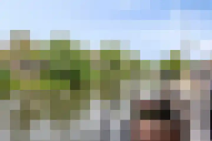 Witte Singel 100 Leiden thumbnail 48