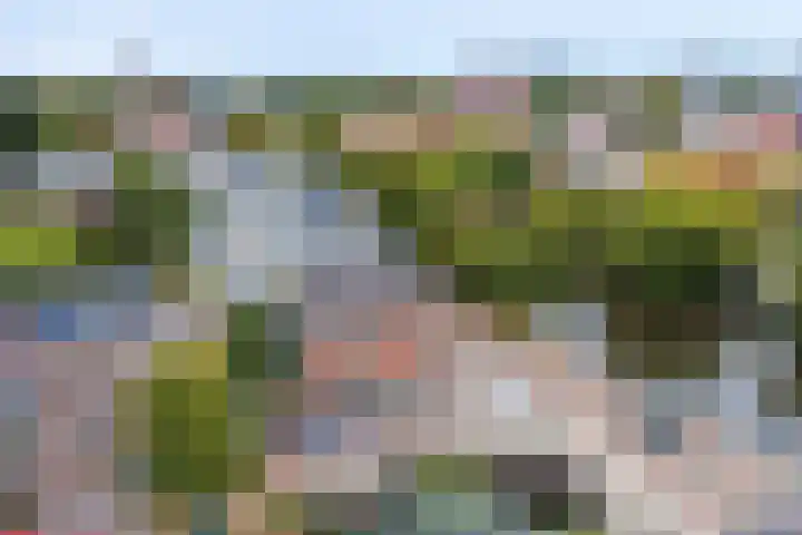 Witte Singel 100 Leiden thumbnail 53