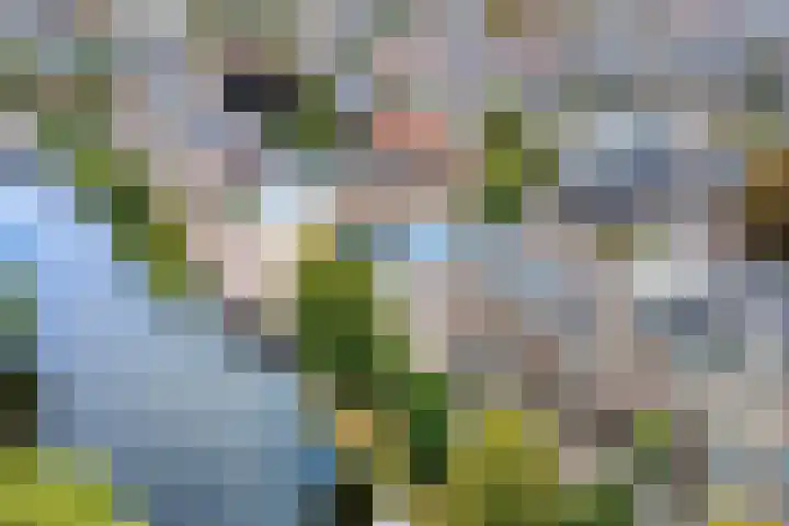 Witte Singel 100 Leiden thumbnail 56
