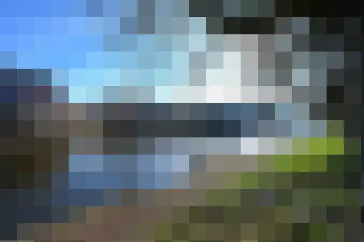 Witte Singel 17 Leiden thumbnail 6