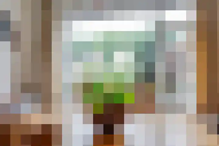 Wittejufferstraat 19 Zeddam thumbnail 22