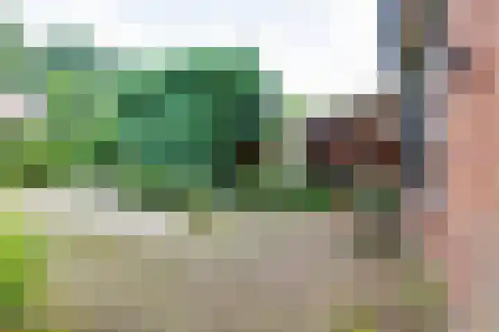 Wittejufferstraat 19 Zeddam thumbnail 43