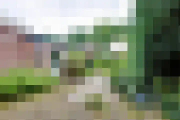 Wittejufferstraat 19 Zeddam thumbnail 46