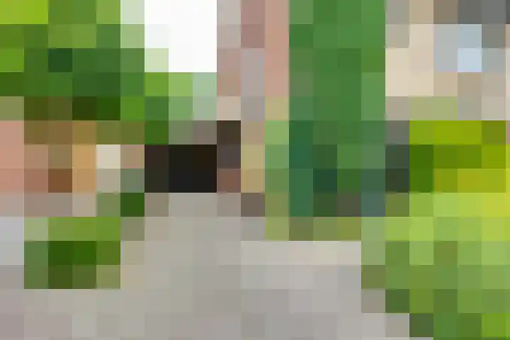Wittejufferstraat 19 Zeddam thumbnail 7