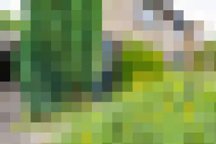 Wittejufferstraat 19 Zeddam thumbnail 9