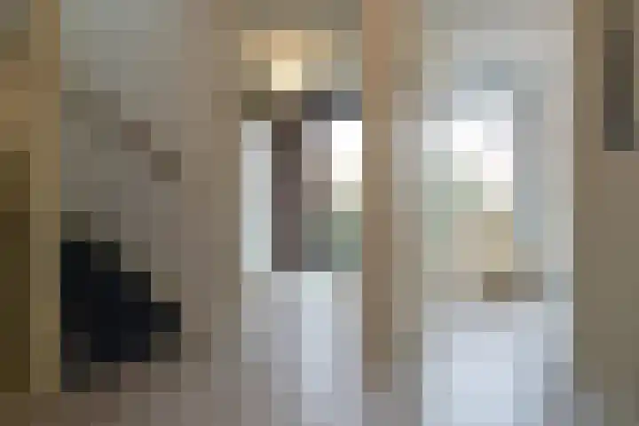 Wittemstraat 6 Tilburg thumbnail 24