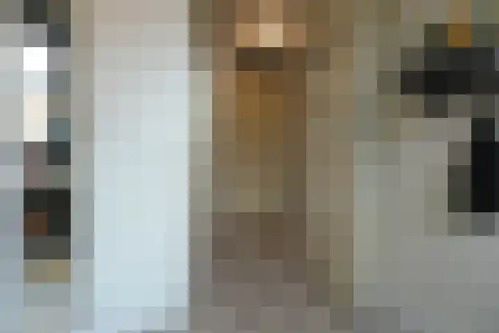 Wittemstraat 6 Tilburg thumbnail 32