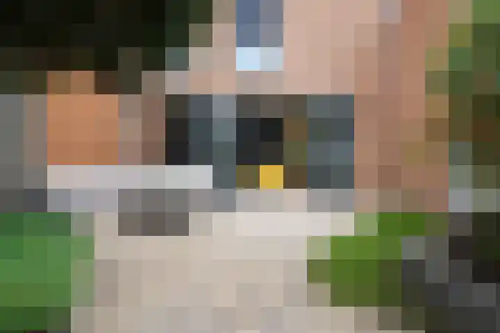 Wittemstraat 6 Tilburg thumbnail 57