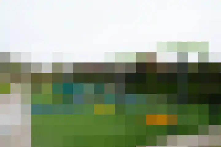 Wittemstraat 6 Tilburg thumbnail 68