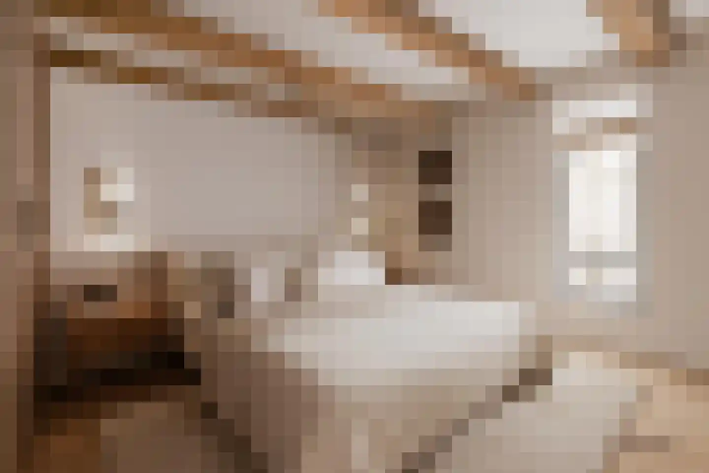 Wittenburgergracht 49 Amsterdam thumbnail 5