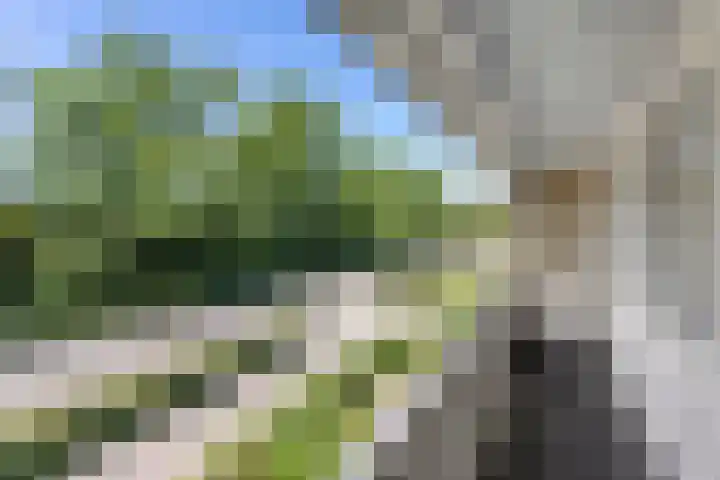 Wittendijk 13 Goirle thumbnail 27