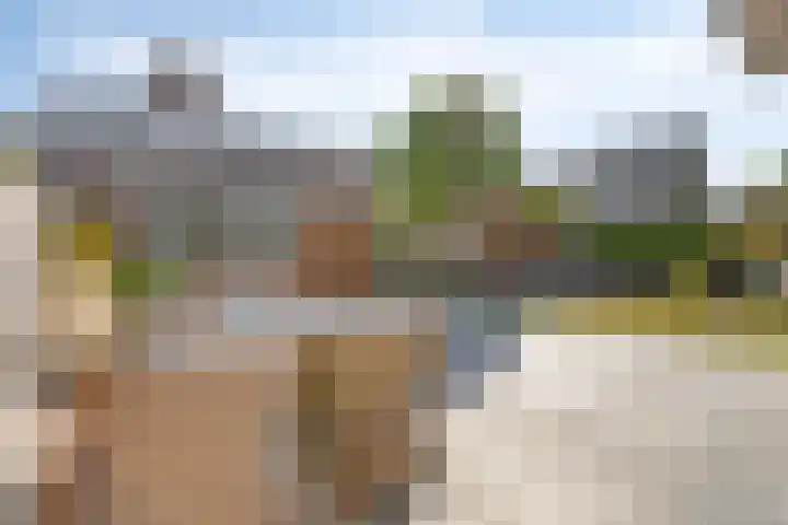 Wittendijk 13 Goirle thumbnail 5