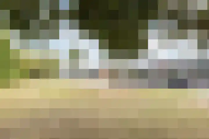 Wittendijk 56 Goirle thumbnail 37