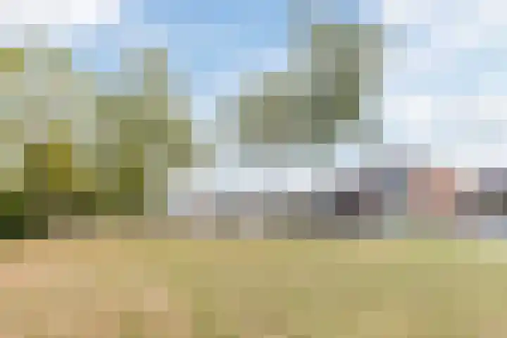 Wittendijk 56 Goirle thumbnail 38
