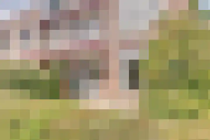 Wittenkamp 26 Ermelo thumbnail 32