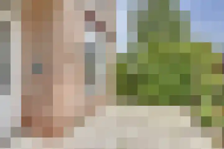 Wittenkamp 26 Ermelo thumbnail 8