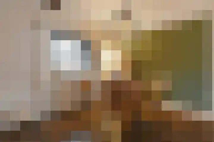 Wittesteegstraat 2 Neeritter thumbnail 10