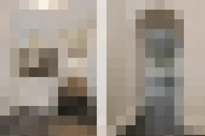 Wittesteegstraat 2 Neeritter thumbnail 20