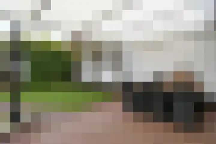 Wittesteegstraat 2 Neeritter thumbnail 33