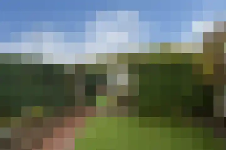Wittesteegstraat 2 Neeritter thumbnail 35