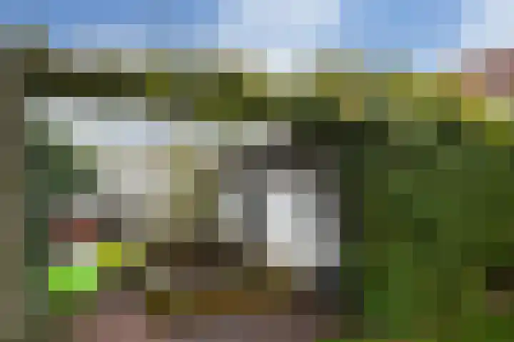 Wittesteegstraat 2 Neeritter thumbnail 36