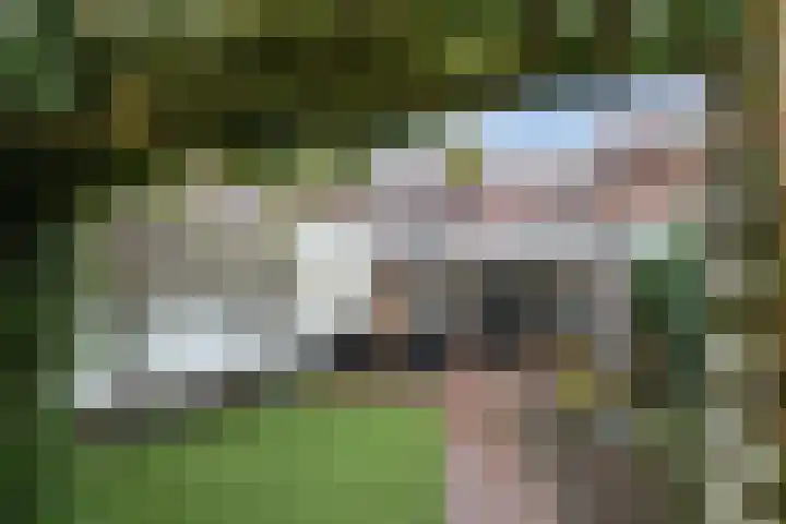 Wittesteegstraat 2 Neeritter thumbnail 37
