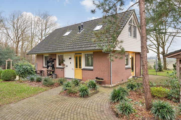 Witteveen 20y in Ruinen foto