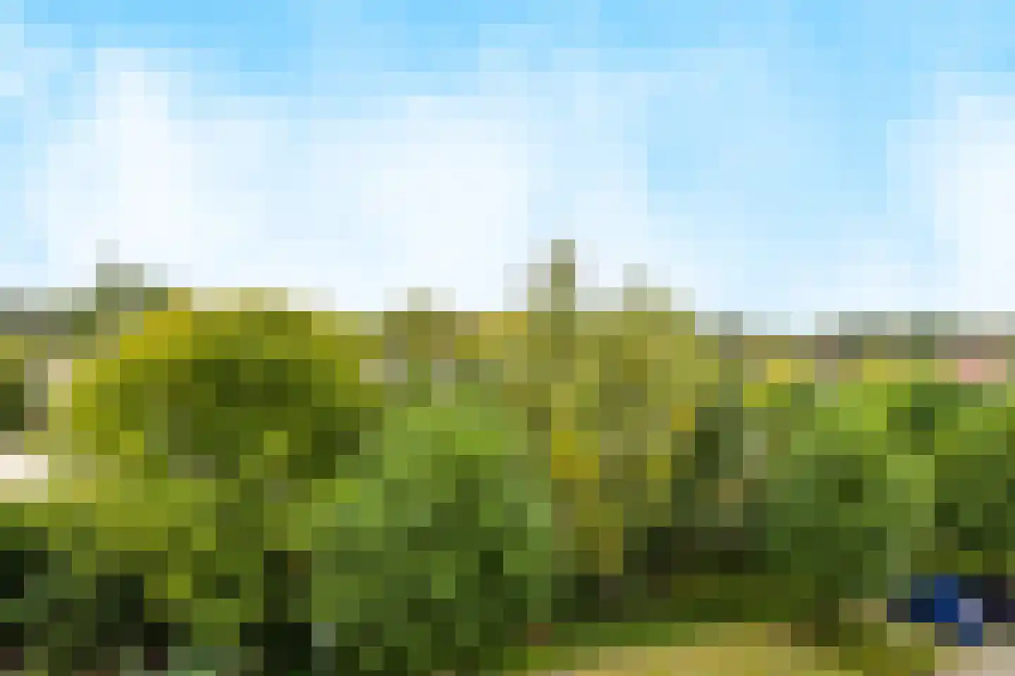 Witteweg 4 r Plasmolen thumbnail 33