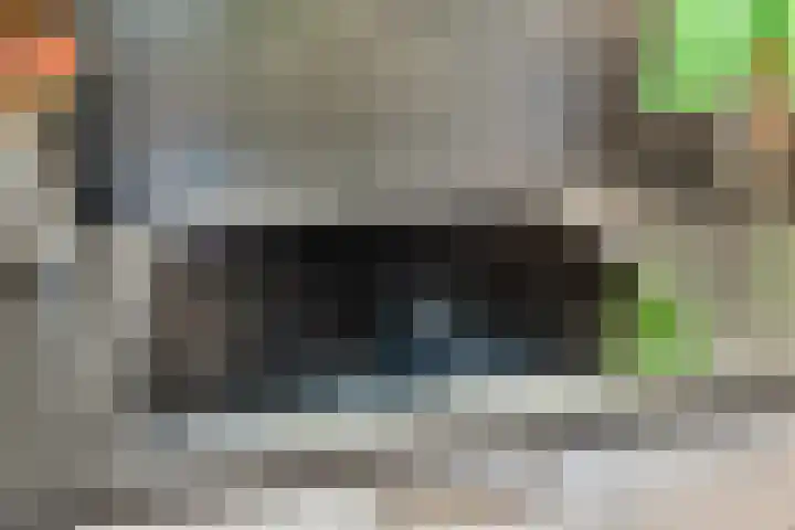 Witveldweg 61 Horst thumbnail 10