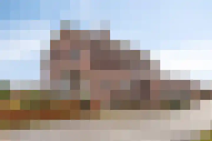 Witveldweg 61 Horst foto 3