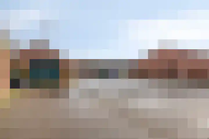 Witveldweg 61 Horst thumbnail 38