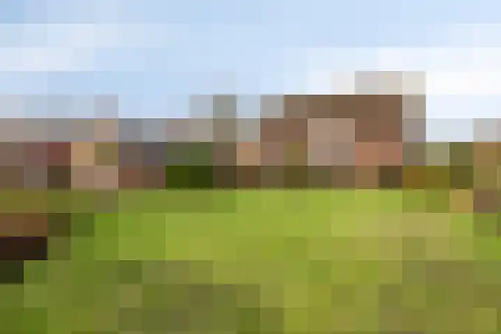 Witveldweg 61 Horst thumbnail 42