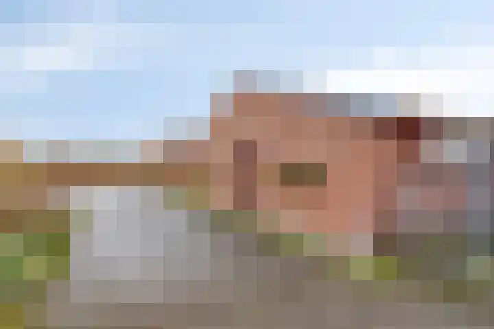 Witveldweg 61 Horst thumbnail 50