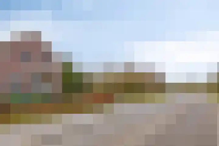 Witveldweg 61 Horst thumbnail 53