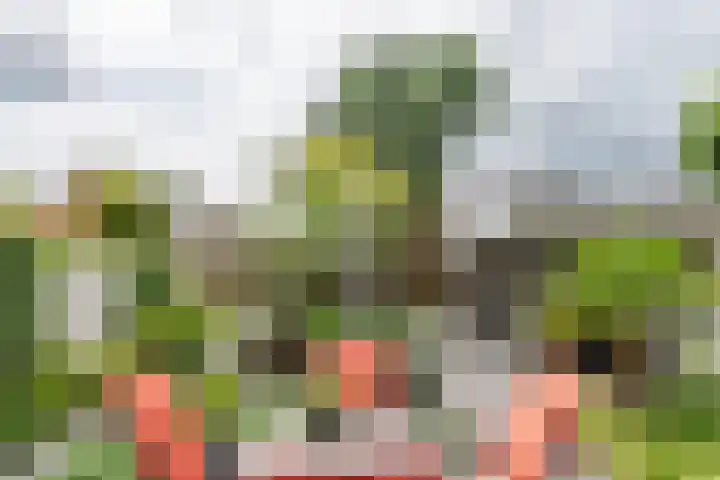 Witvenstraat 5 Haghorst thumbnail 27