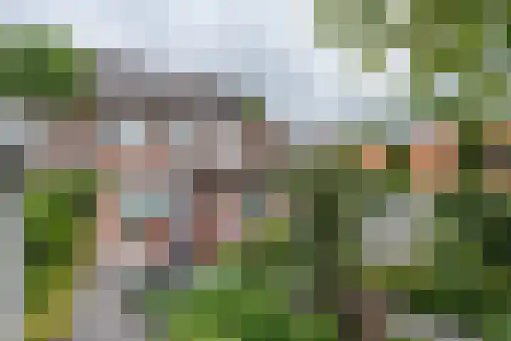 Witvenstraat 5 Haghorst thumbnail 30
