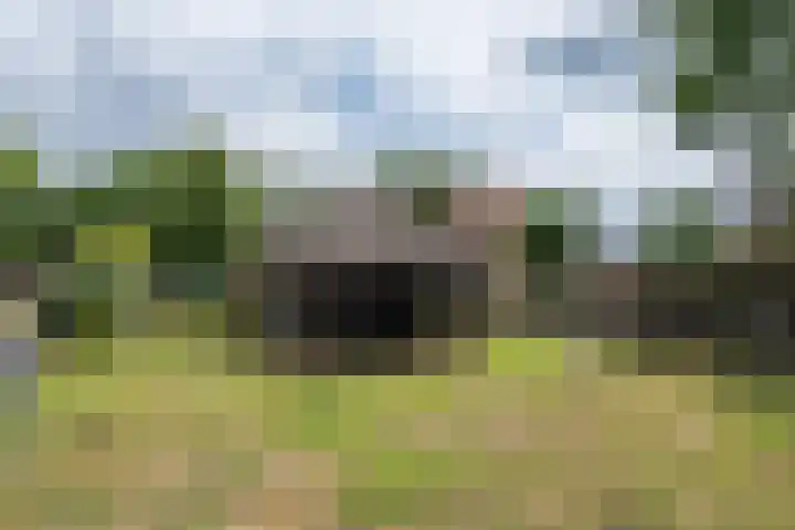 Witvenstraat 5 Haghorst thumbnail 31