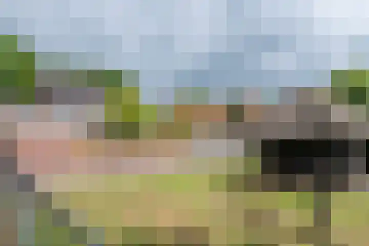 Witvenstraat 5 Haghorst thumbnail 32