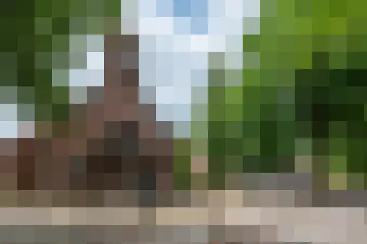 Witvenstraat 5 Haghorst thumbnail 33
