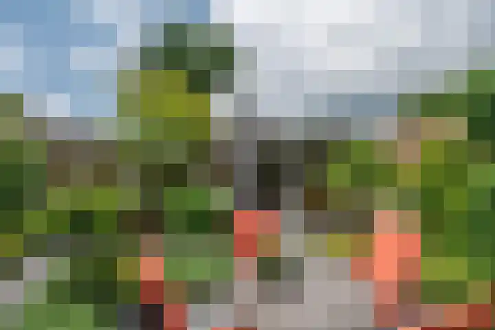 Witvenstraat 5 Haghorst thumbnail 4