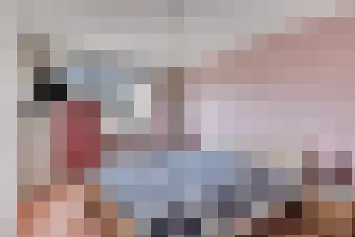 Witvrouwsberg 21 Veldhoven thumbnail 13