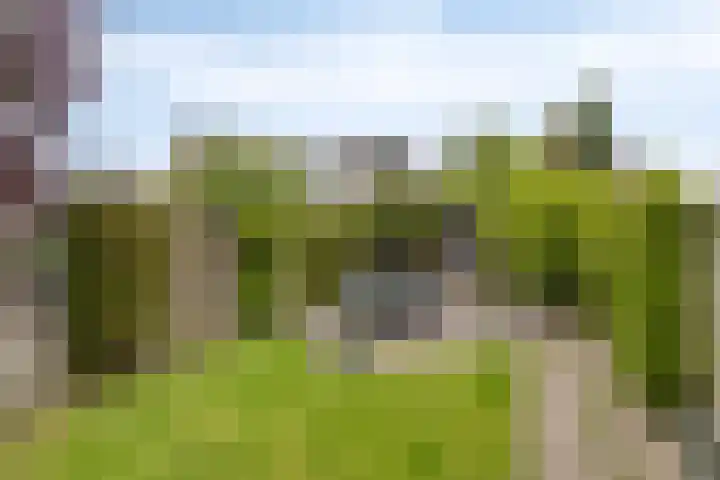 Witvrouwsberg 21 Veldhoven thumbnail 22