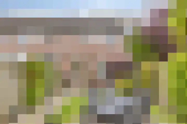 Witvrouwsberg 21 Veldhoven thumbnail 23