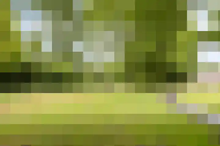 Witvrouwsberg 21 Veldhoven thumbnail 24