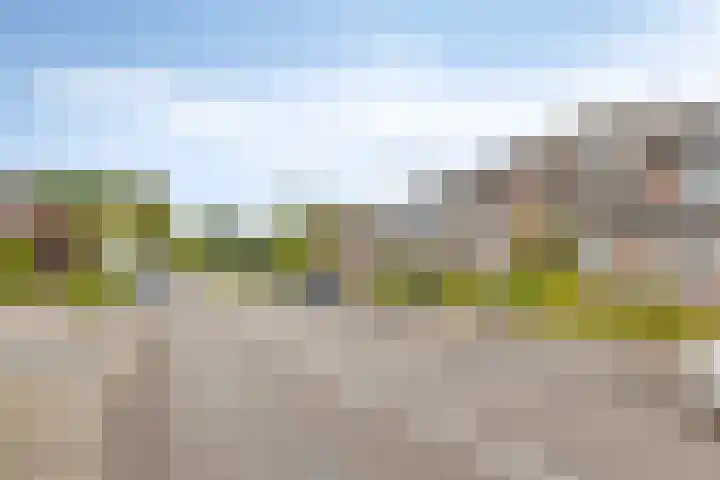 Witvrouwsberg 21 Veldhoven thumbnail 26