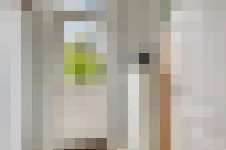 Witvrouwsberg 21 Veldhoven thumbnail 9