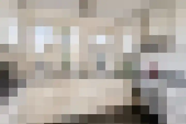 Witvrouwsberg 26 Veldhoven thumbnail 13