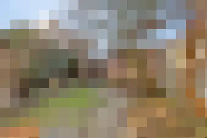 Witvrouwsberg 26 Veldhoven thumbnail 31