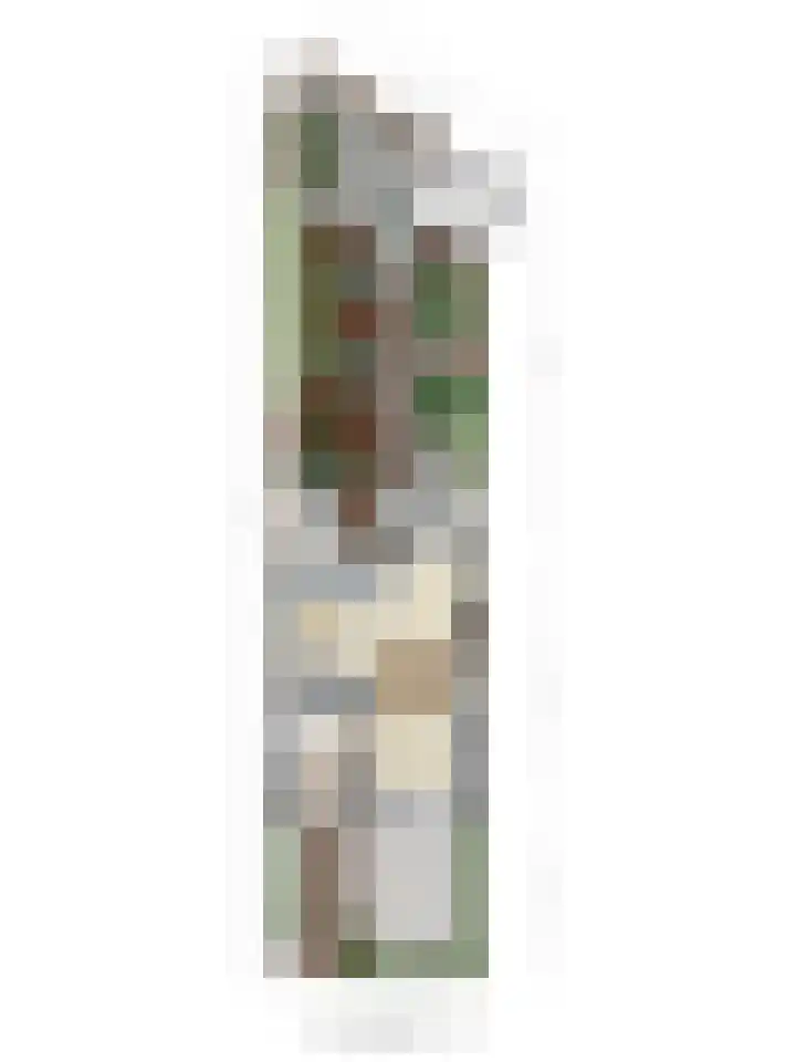 Witvrouwsberg 26 Veldhoven thumbnail 39