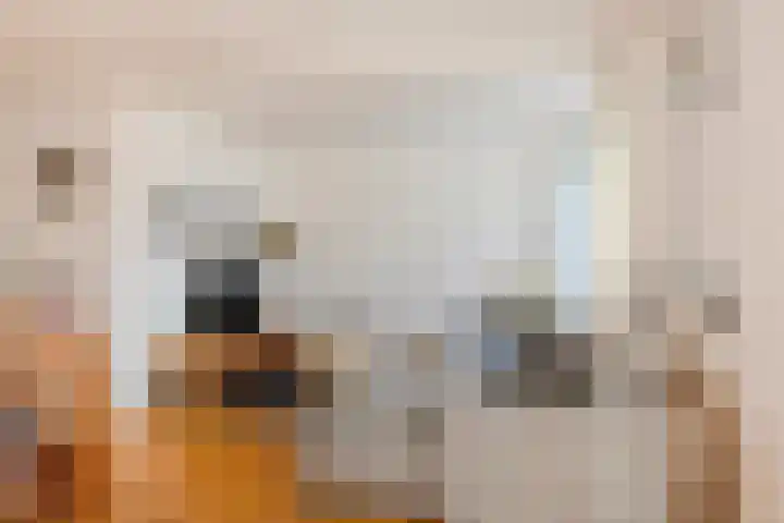 Witvrouwsberg 26 Veldhoven thumbnail 9